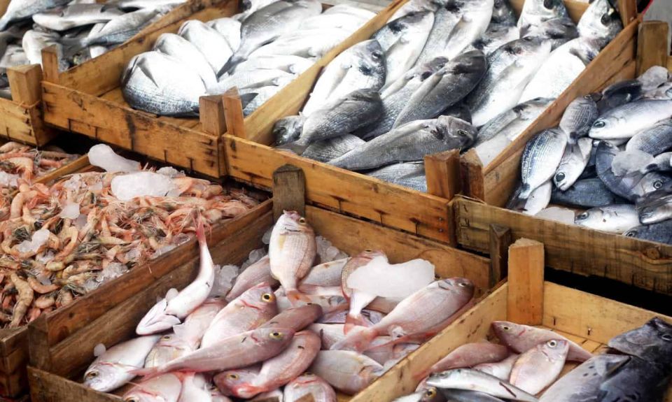 انخفاض كبير بأسعار السمك بسورية: وفرة صيد، انقطاع الكهرباء، أم خوف من التلوث؟