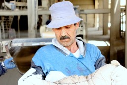 الحرب خلف ظهر المعمل.. &laquo;قاسيون&raquo; في &laquo;اسمنت عدرا&raquo;