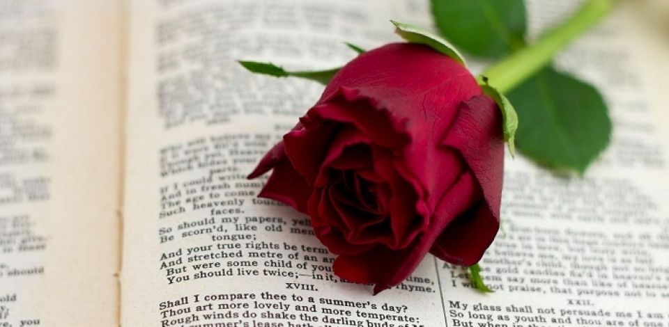 احتفال عيد العشاق ينتهي بالسجن