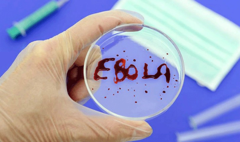 الصحة العالمية تحذر من الانتشار السريع لوباء إيبولا