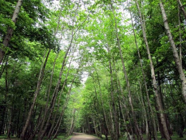 أخبار ثقافية