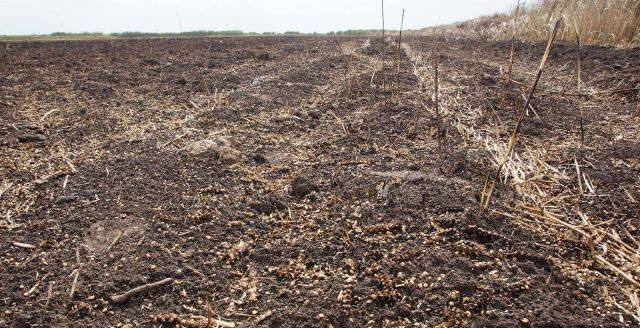 تعويضات الحرائق لرفع العتب، أم للتهرب من المسؤولية؟