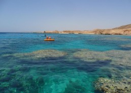 محكمة مصرية ترفض طلب الحكومة وقف تنفيذ حكم بطلان اتفاقية &quot;تيران وصنافير&quot;