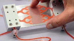 طحال اصطناعي يزيل الجراثيم من الدم