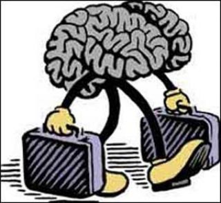 وجدتها: دماغ على  طبق ذهبي