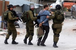 قوات الاحتلال تعتقل 50 فلسطينياً جنوب الأراضي المحتلة‎