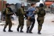قوات الاحتلال تعتقل 50 فلسطينياً جنوب الأراضي المحتلة&lrm;
