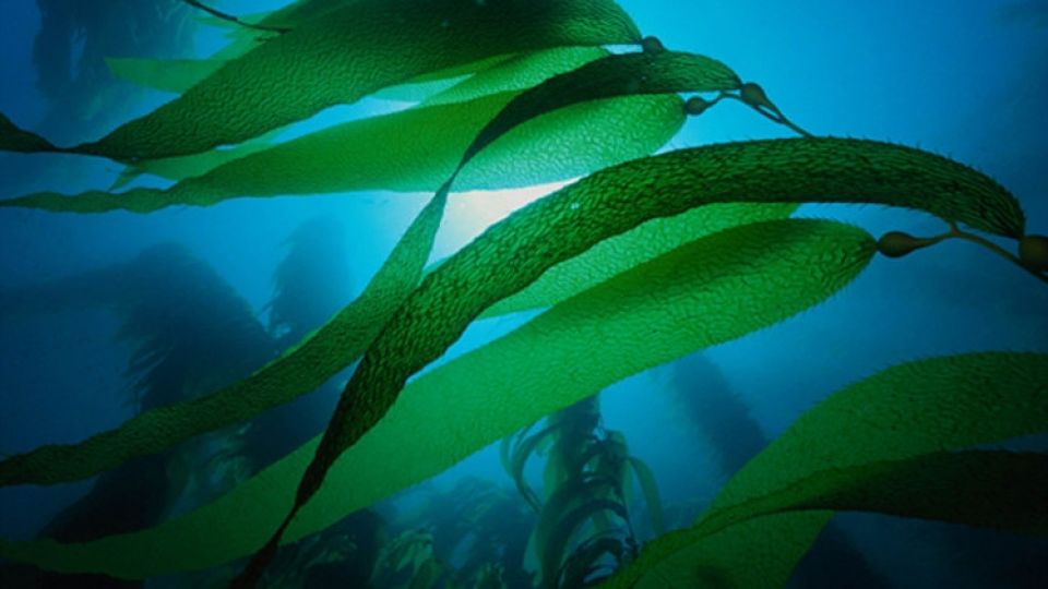 أخبار العلم