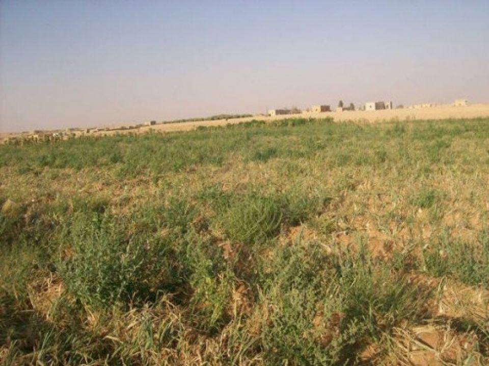 برسم مديرية الزراعة بالرقة ووحداتها الإرشادية