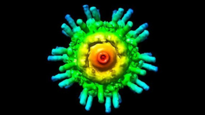 دراسة: محركات بالغة الصغر داخل الخلايا البشرية