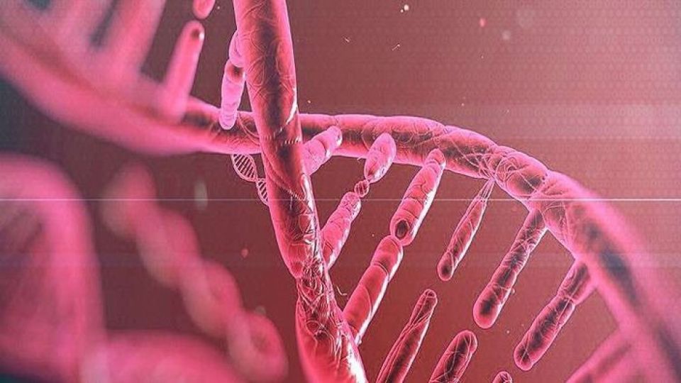 دراسة إطلاق رواد فضاء &laquo;معدلين وراثياً&raquo; إلى الفضاء