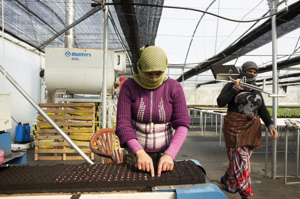 بصراحة ... كم كاسة مي شربتِ اليوم؟