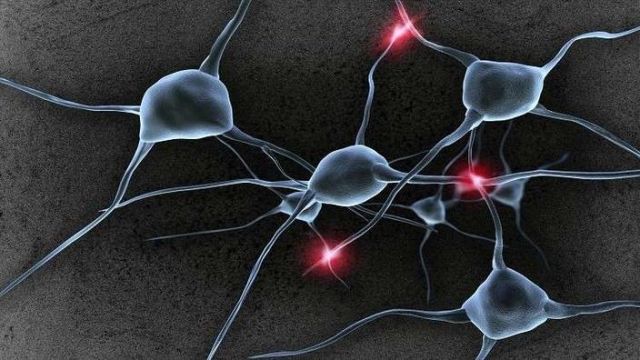 تحويل الدم إلى خلايا عصبية