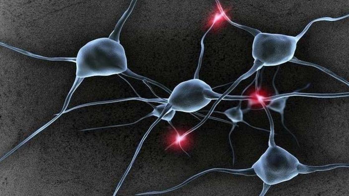 تحويل الدم إلى خلايا عصبية