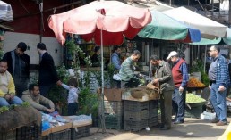 «المصلحة العامة».. وجهات نظر متباينة!