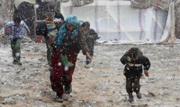 المثقف والموقف المطلوب