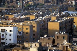 التايكونات تحتل المدينة