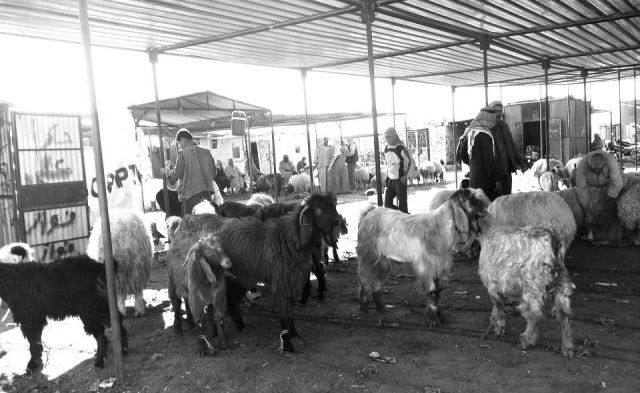 تجربة ولدت وعاشت في الأزمة..