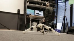 جديد التكنولوجيا: ابتكار روبوت يتكاثر ذاتياً