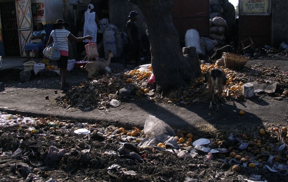 البيئة وقضايا التنمية والتصنيع