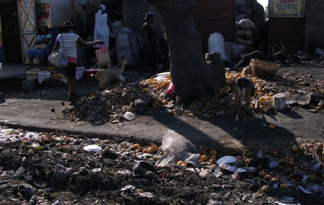 البيئة وقضايا التنمية والتصنيع