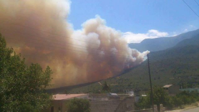 مسلسل الحرائق المستمر