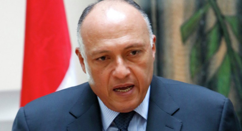شكري: حل الأزمة السورية ومساعدة الحكومة الليبية يساهم في القضاء على الإرهاب