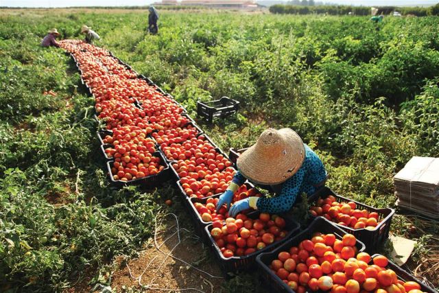 البؤس المكتسب...