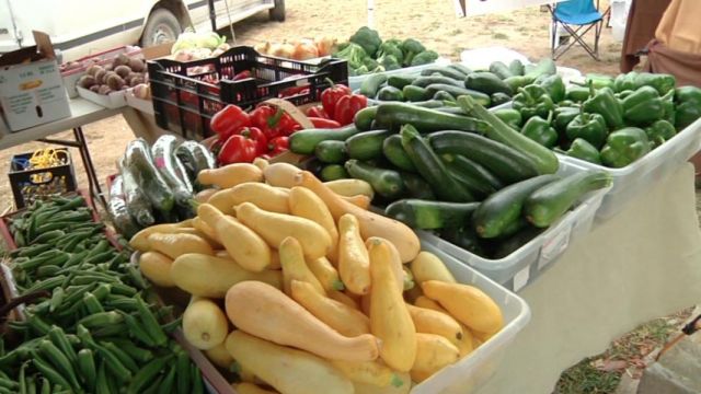 التصدير يخسر المصرف المركزي 93% من عائداته الدولارية!