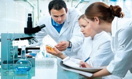 دراسة: باحثون ينمون أعضاء حية داخل أجساد الحيوانات