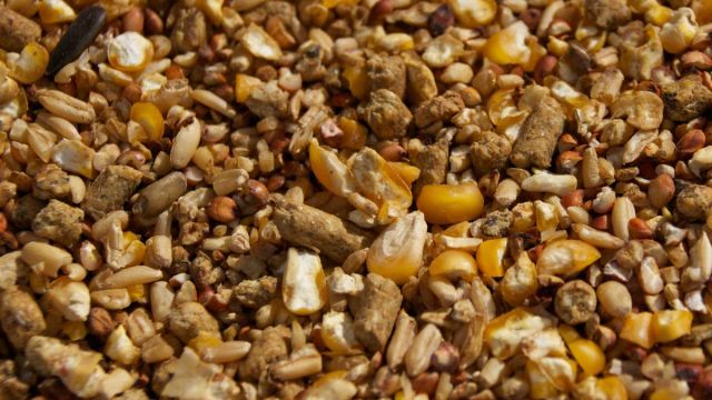 التسعير الرسمي وحلقة ارتفاع تكاليف الإنتاج مستمرة