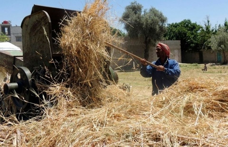 (ابتكار) في محاربة  فساد استيراد القمح؟!