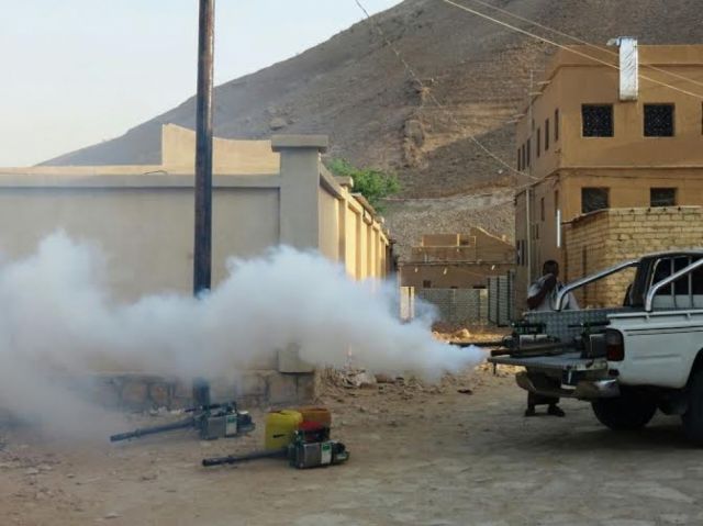 موسم الحشرات والتعامل المتأخر معها
