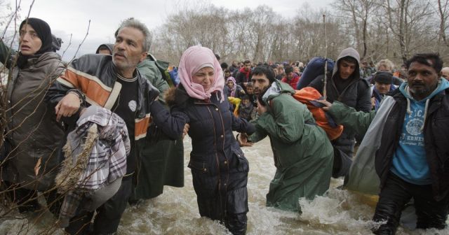 قاعدة بيانات الشتات