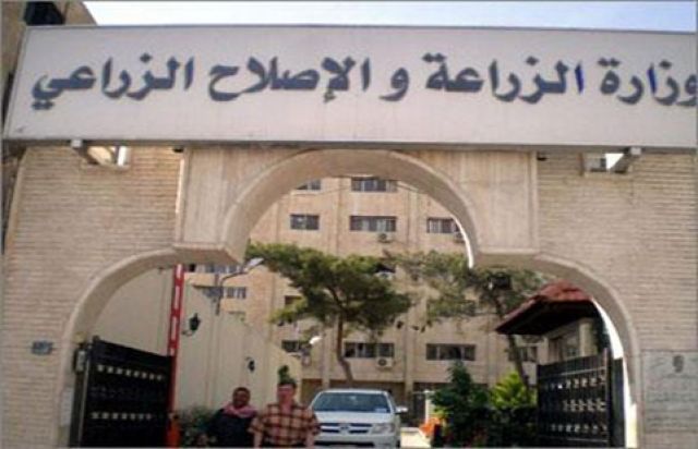 مؤتمر نقابة عمال التنمية الزراعية.. عودة الأمن الغذائي الذي تخلخل نتيجة قرارات وإجراءات فاسدة