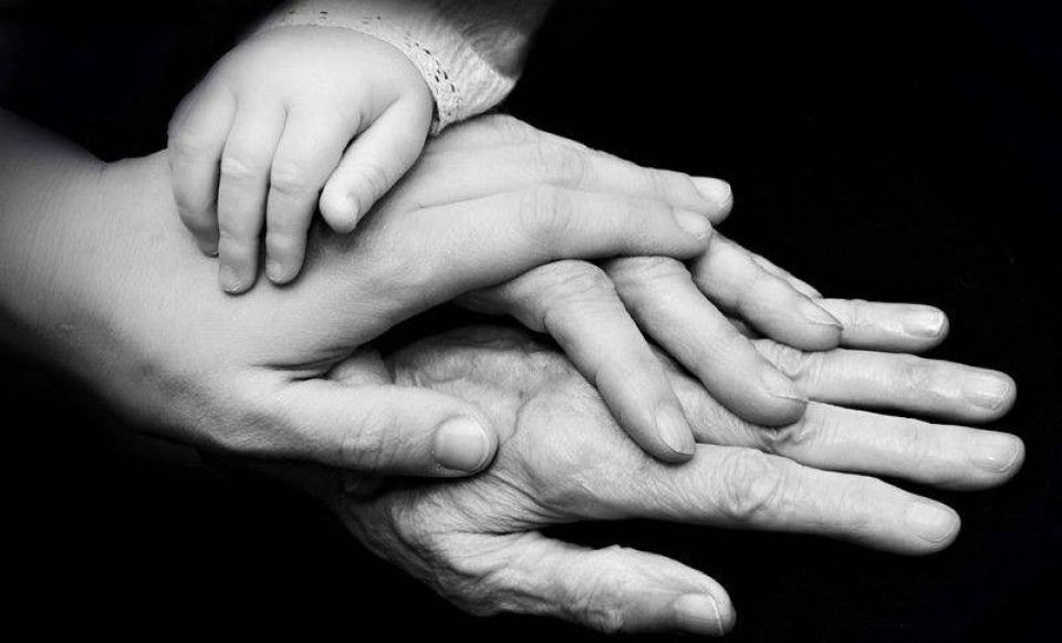 وجدتها: فلسفة علوم الحياة وعلم الحياة الاجتماعي