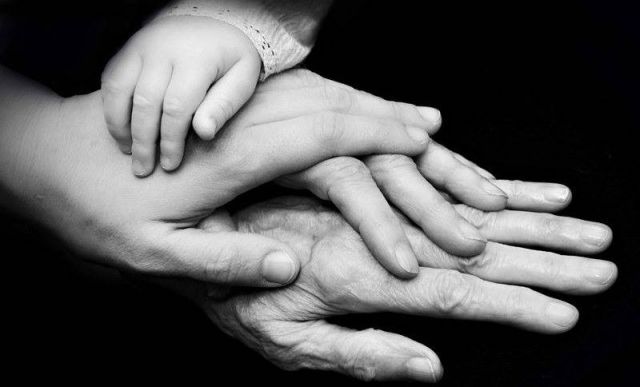 وجدتها: فلسفة علوم الحياة وعلم الحياة الاجتماعي