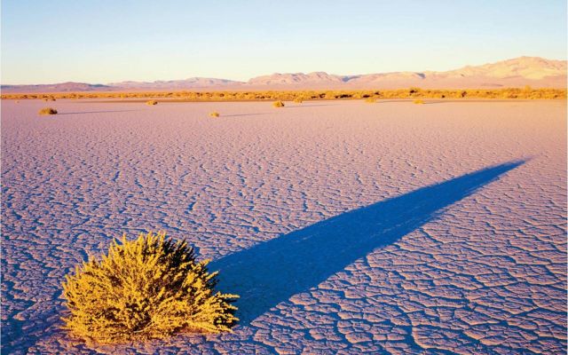 تقنيات حصاد المياه في البادية السورية