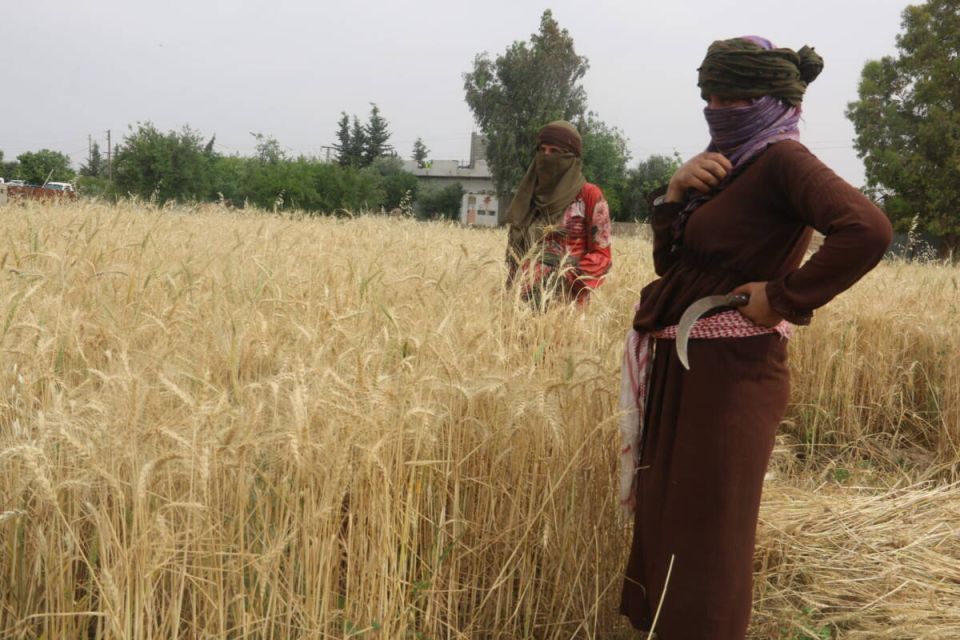 بصراحة المطالب العمالية في المؤتمرات: بعضها مكرر والآخر غائب