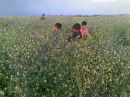 زهورية عشتار