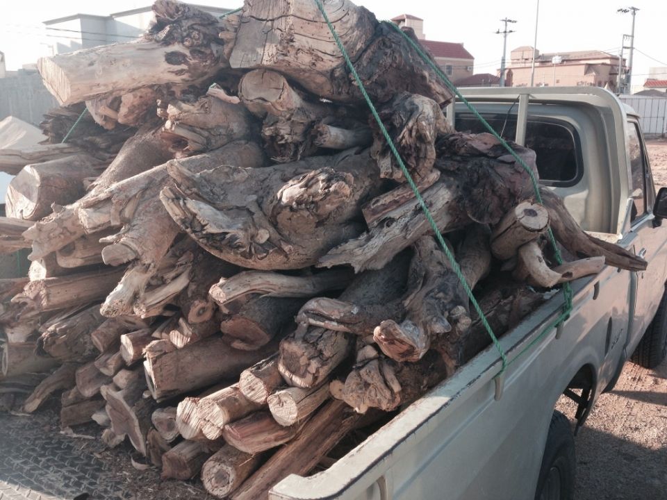 رفضاً لمصادرة الحطب.. اعتصام أمام محافظة طرطوس