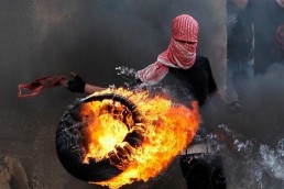 مستوطن يطعن 4 فلسطينيين في النقب المحتلة