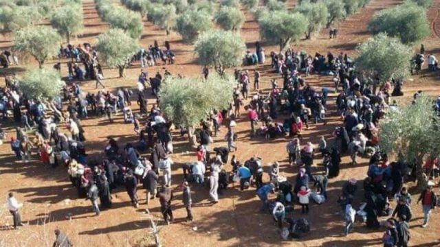 ست حقائق عن عفرين