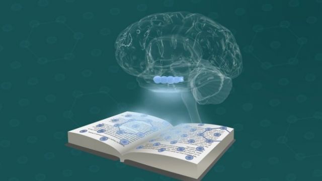 الهندسة البسيطة في عمليات التفكير