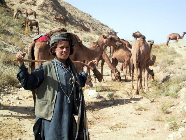 باكستان بين براكين الانتخابات والانقلابات