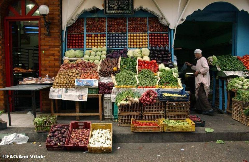 وجدتها : في الأمن الغذائي