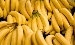 تحويل مادة السلولوز في قشر الموز إلى بلاستيك عازل