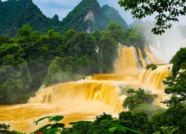 أخبار ثقافية