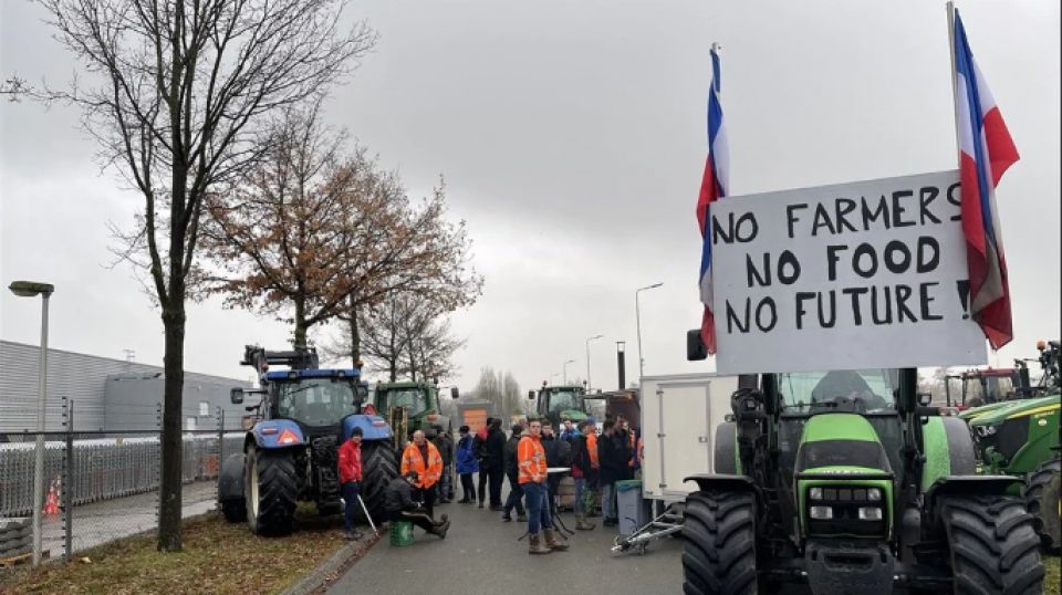 احتجاج مزارعي هولندا: قطعوا طرقات وأغلقوا أسواق