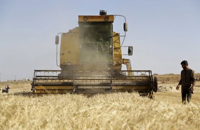 تغير بنية الطبقة العاملة في الجزيرة